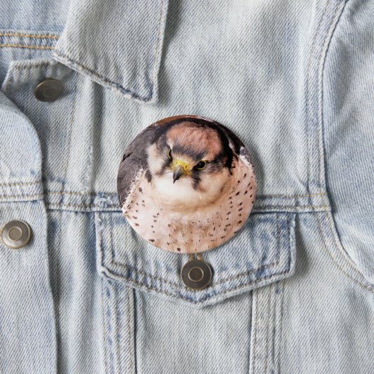 LANNER FALCON BUTTON (Beispiel)