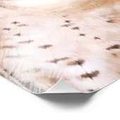 LANNER FALCON FOTODRUCK (Ecke)