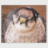 LANNER FALCON GESCHENKPAPIER (Flach)