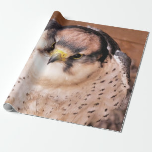 LANNER FALCON GESCHENKPAPIER