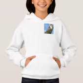 Lanner Falcon Hoodie (Vorderseite)