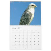 Lanner Falcon Kalender (Jan 2027)