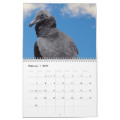 Lanner Falcon Kalender (Feb 2027)