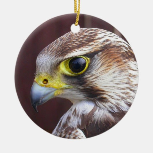 Lanner Falcon Keramikornament (Vorne)