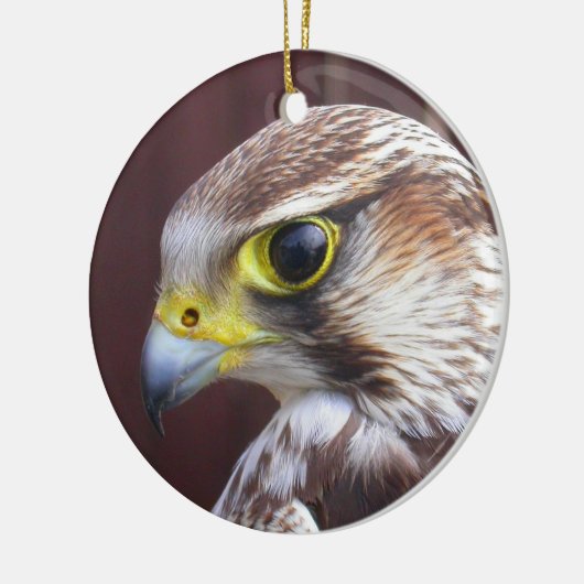 Lanner Falcon Keramikornament (Links)