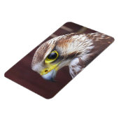 Lanner Falcon Magnet (Linke Seite)