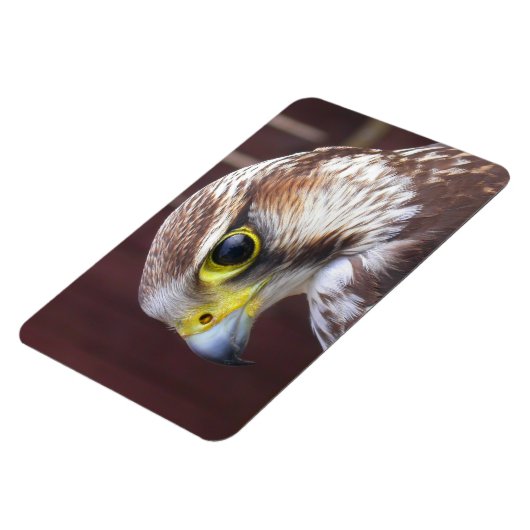 Lanner Falcon Magnet (Linke Seite)