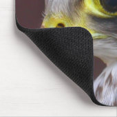 Lanner Falcon Mousepad (Ecke)