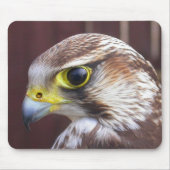 Lanner Falcon Mousepad (Vorne)
