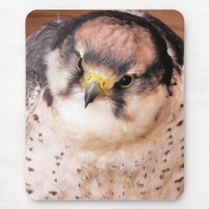 LANNER FALCON MOUSEPAD