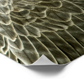 Lanner Falcon Poster (Ecke)