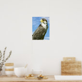 Lanner Falcon Poster (Küche)