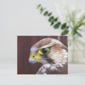 Lanner Falcon Postkarte (Stehend Vorderseite)