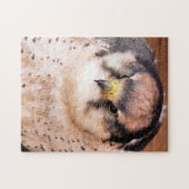 LANNER FALCON PUZZLE (Horizontal)