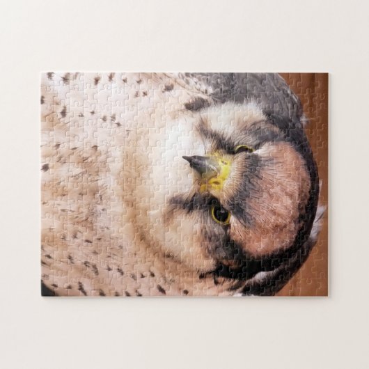 LANNER FALCON PUZZLE (Horizontal)