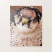 LANNER FALCON PUZZLE (Vertikal)