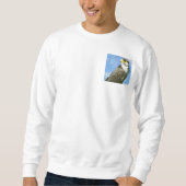 Lanner Falcon Sweatshirt (Vorderseite)