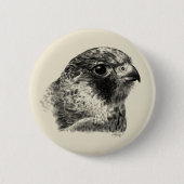 Lanner Falcon Zeichnend Button (Vorderseite)