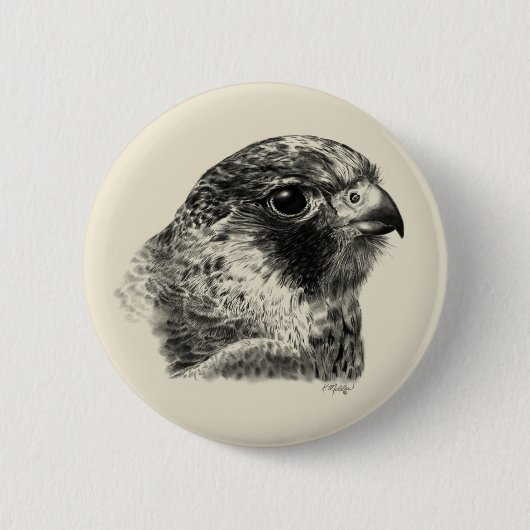 Lanner Falcon Zeichnend Button (Vorderseite)