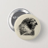 Lanner Falcon Zeichnend Button (Vorne & Hinten)