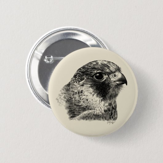 Lanner Falcon Zeichnend Button (Vorne & Hinten)