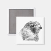 Lanner Falcon Zeichnend Magnet (Vorderseite/Rückseite)