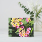 Lantana # 2 postkarte (Stehend Vorderseite)