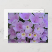 Lantana Blume Postcard Postkarte (Vorne/Hinten)
