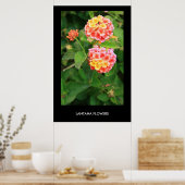 Lantana Blume Poster, Print Poster (Küche)