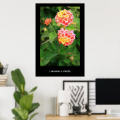 Lantana Blume Poster, Print Poster (Heimbüro)