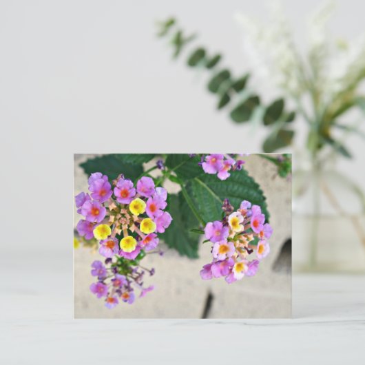 Lantana Blume Postkarte (Stehend Vorderseite)