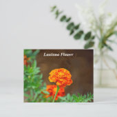 Lantana-Blume Postkarte (Stehend Vorderseite)