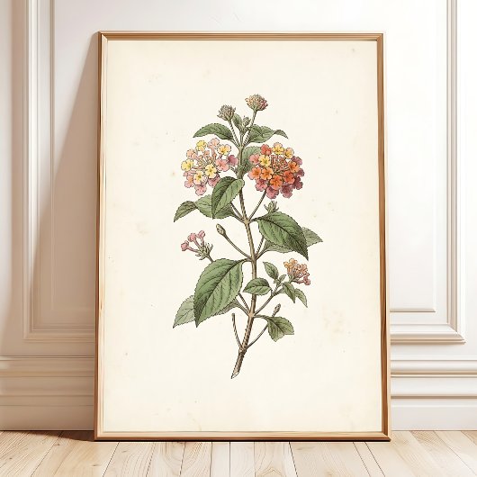Lantana-Botanik-Cottagecore-Druck Poster