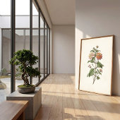 Lantana-Botanik-Cottagecore-Druck Poster