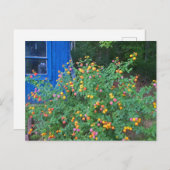 Lantana Bush Postkarte (Vorne/Hinten)