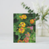 Lantana Camara Blume Postkarte (Stehend Vorderseite)