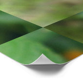 Lantana Garden Blumen Yellow Poster (Ecke)