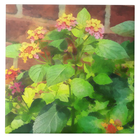 Lantana gegen Backsteinmauer Fliese (Vorderseite)