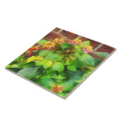 Lantana gegen Backsteinmauer Fliese (Seite)