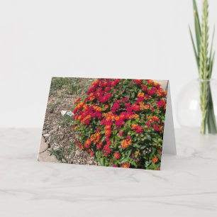 Lantana in Blume Dankeskarte