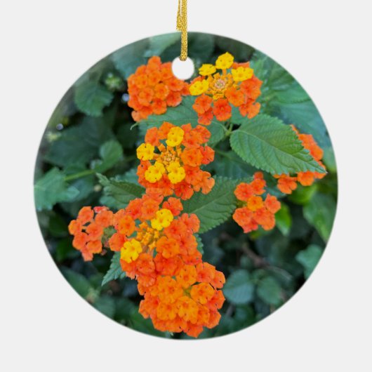 Lantana Keramik Ornament (Hinten)