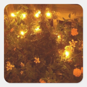 Lantana-Lampen Quadratischer Aufkleber