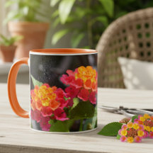 Lantana Leuchtende Farbige Botanische Blumen