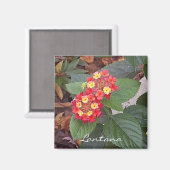 Lantana Magnet (Vorderseite/Rückseite)