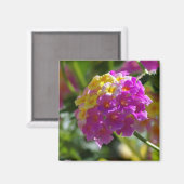Lantana Magnet (Vorderseite/Rückseite)
