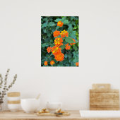 Lantana Poster (Küche)