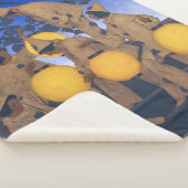 Lantern Bearers | Maxfield Parrish | Sherpadecke (3/4)