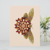 Lantern Fly and Butterfly Mandala Ankündigung (Stehend Vorderseite)