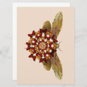 Lantern Fly and Butterfly Mandala Ankündigung (Vorne/Hinten)