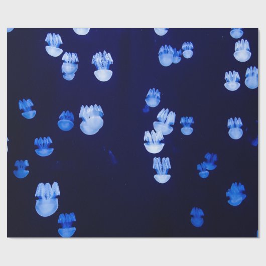 LANTERN GESCHENKPAPIER (Flach)